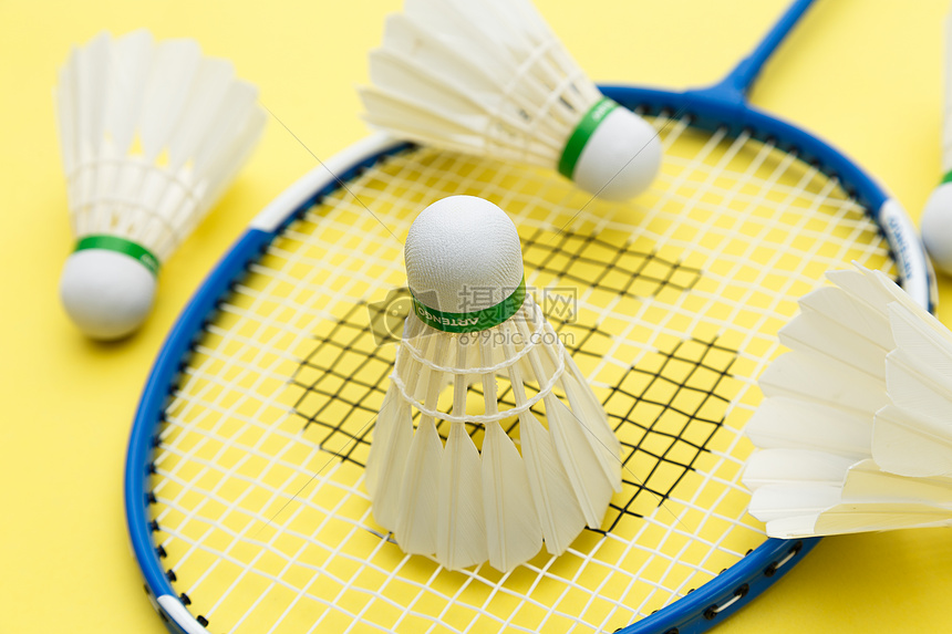 俗的实力 俗的实力