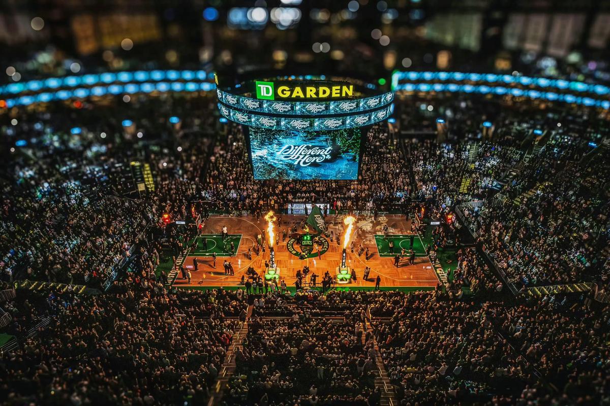 可控侵略性 可控侵略性